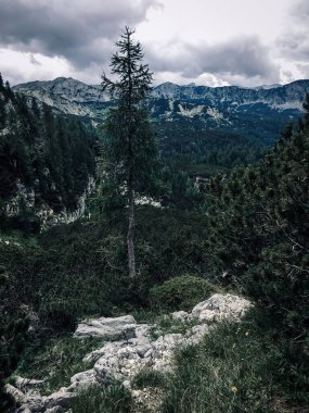 Slovenya 'daki Triglav Ulusal Parkı' nda Büyüleyici Bakire Doğa
