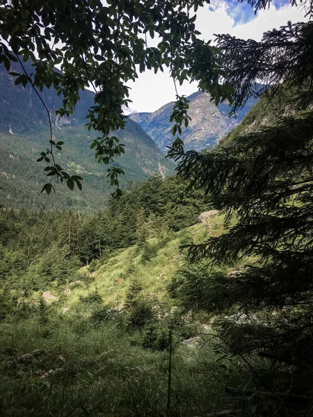 stock image Enchanting Pristine Nature in Triglav National Park, Slovenia