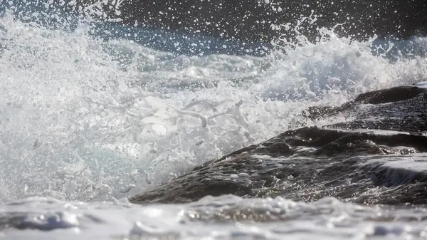 Milos Adası, Yunanistan - güzel su ve kıyı