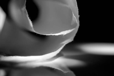 Ayrıntılı beyaz kağıt özeti