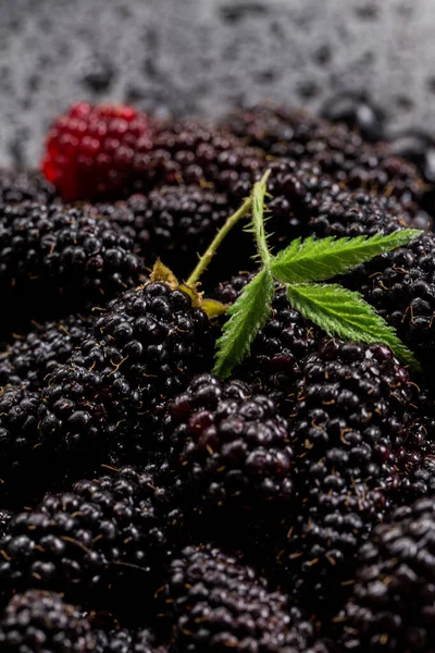 stock image Fresh blackberries with black currant berries and green mint leaf top view background