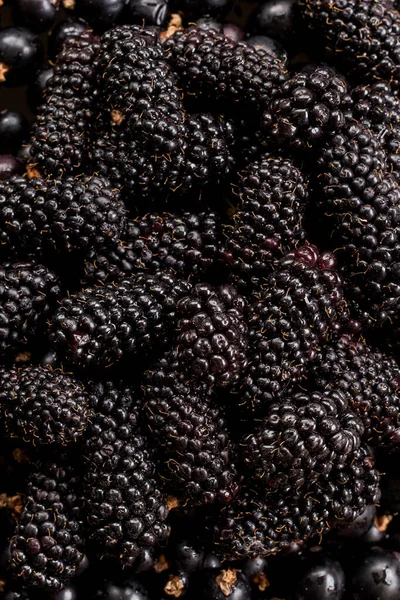 新鲜的黑莓 带有黑醋栗和绿色薄荷叶背景 图库图片