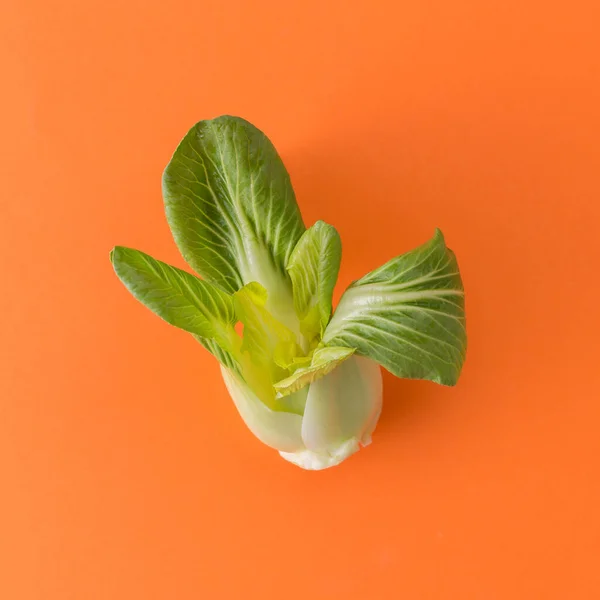 Syrové Chutné Vegetariánské Čínské Pak Choi Zelí Oranžovém Pozadí Stock Obrázky