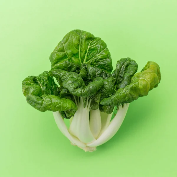 Crudo Sabroso Vegetariano Pak Choi Col China Sobre Fondo Verde Fotos De Stock Sin Royalties Gratis