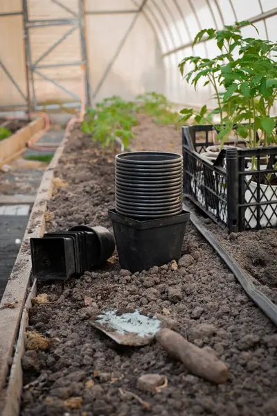 Serada çalışmak için çeşitli araç ve gereçler kullanılıyor. Ekipmanlar düzgün bir şekilde yerleştirilmiş, bitkilerin bakımı ve büyümeleri için kullanıma hazır. Bu araçlar fidelerin bakımı, bitki sağlığı yönetimi ve optimize edilmesi için gereklidir.