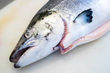 Şef somon filetosu hazırlıyor, balığın kafasını keserek başlıyor..