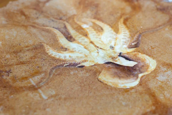 Sembei Ist Ein Japanischer Reisknacker Aus Tintenfisch Reis Der Erhitzt — Stockfoto
