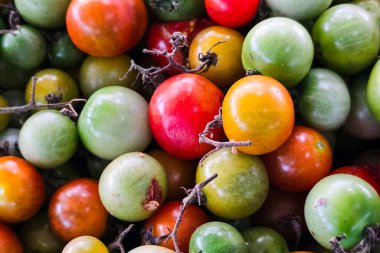 Küçük domates deseni arka plan ve doku.