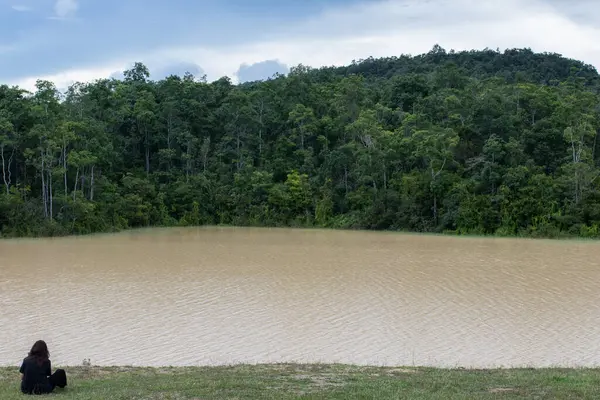 Nehirde bahar ormanı, Khao yai ulus parkı, Tayland. Doğal arkaplan ve doku.