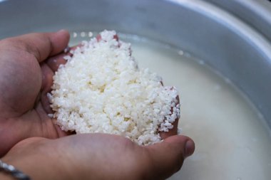 Elleri yakın plan, ıslanmış glutinous pilavını bir tencere suyun üstünde tutarak pişirmeye hazırlanıyor. Geleneksel bir yemek hazırlama süreci Asya mutfağında ve yapışkan pirinç yemeklerinde yaygındır..