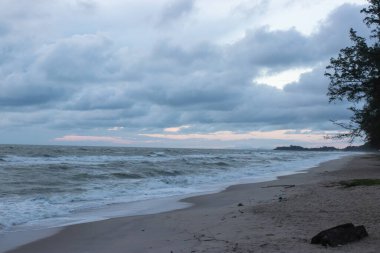 Akşamın erken saatlerinde bulutlu bir gökyüzünün altında güçlü dalgaların olduğu sakin bir sahil, kıyı boyunca uzanan çam ağaçları ve bulutların arasından süzülen yumuşak ışık.