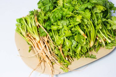 Bej bir tabakta kökleri olan taze kişniş, Asya mutfağında genellikle süsleme ve yemeklere aromatik tat katmak için kullanılır..