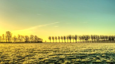 Renkli ağaçlarla dolu sonbahar manzarası