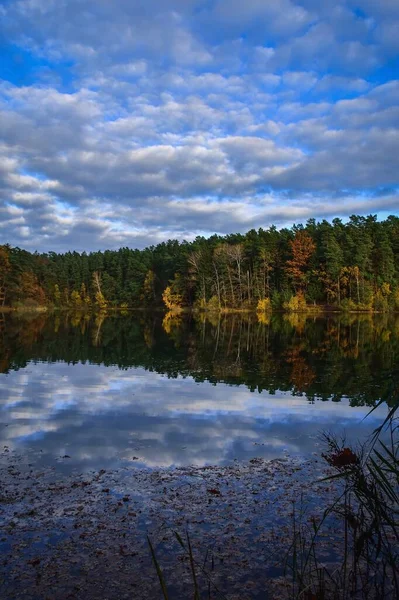 水边的秋景 五彩斑斓的树木映衬在美丽的池塘里 — 图库照片