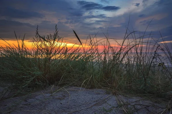 Západ Slunce Moře Zelená Tráva Pláži Libě Polsku Večerní Scenérii — Stock fotografie
