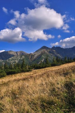 Güzel yaz manzarası. Polonya Tatra Dağlarında güneşli güzel bir gün. 