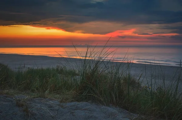 夕阳西下波兰Leba海滩上的绿草 黄昏的风景 — 图库照片
