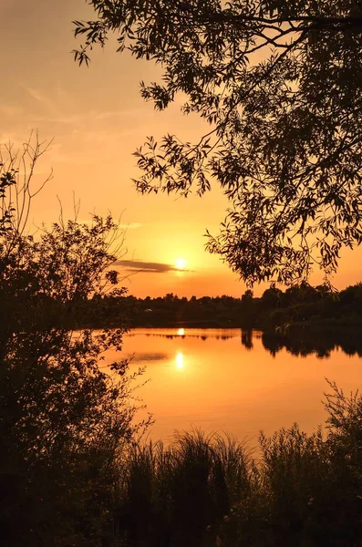 Beautiful Summer Landscape Orange Sunset Lake — Stock Photo, Image