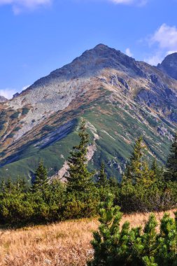 Güzel yaz manzarası. Polonya Tatra Dağlarında güneşli güzel bir gün. 