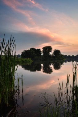 Güzel yaz manzarası. Gölün kıyısında yeşil çimenler, güneş batarken.