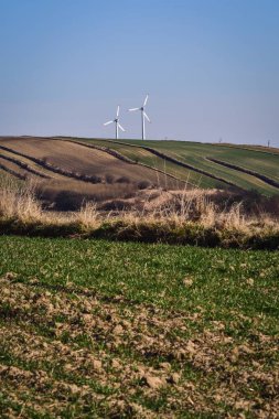 Yenilenebilir enerji kaynakları. Polonya 'nın kırsal kesimlerinde ekolojik rüzgar değirmenleri.