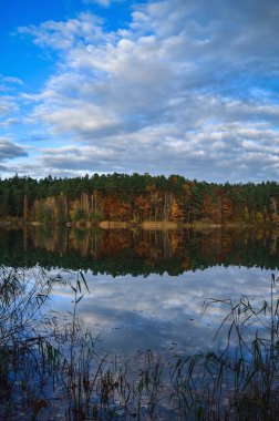 Deniz kenarında sonbahar sahnesi. Güzel bir gölde yansıyan renkli ağaçlar..