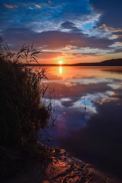 Sonnenaufgang Über Dem See Grünes Gras Seeufer Der Morgenkulisse — Stockfoto