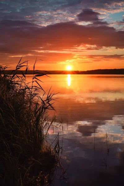 Sunrise Lake Green Grass Lakeside Morning Scenery — Stock Photo, Image