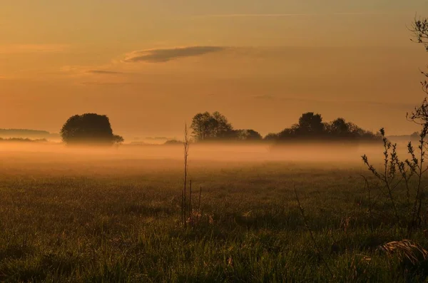 Gyönyörű Ködös Reggeli Táj Napkelte Folyó Felett Ponidzie Lengyelországban — Stock Fotó