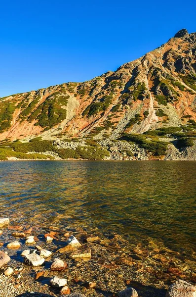 美丽的夏季山景 山坡反射在湖面上 照片摄于波兰鞑靼山脉五个池塘的山谷 — 图库照片