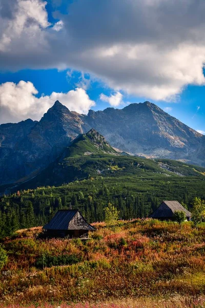 Piękny Górski Letni Krajobraz Słynna Polska Dolina Gasienicowa Tatrach — Zdjęcie stockowe