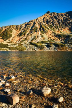 Güzel yaz dağ manzarası. Dağ yamaçları göle yansıyor. Fotoğraf Polonya Tatra Dağları 'ndaki Beş Göl Vadisi' nde çekildi..