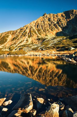 Güzel yaz dağ manzarası. Dağ yamaçları göle yansıyor. Fotoğraf Polonya Tatra Dağları 'ndaki Beş Göl Vadisi' nde çekildi..