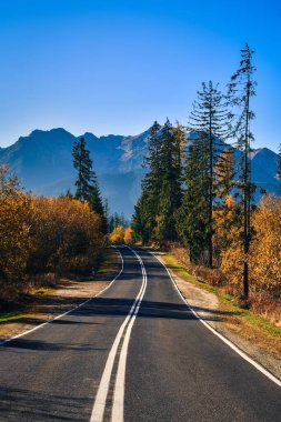 Sabahları çok güzel dağ manzarası. Tatra Dağları manzaralı Polonya 'nın en güzel yolu..