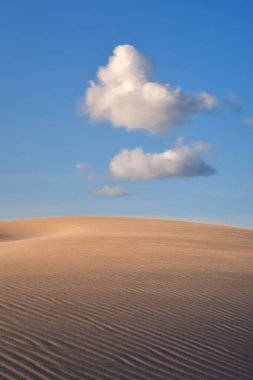 Güzel bir deniz manzarası. Polonya 'nın Leba kentindeki Slowinski Ulusal Parkı' nda çölde kum tepeleri taşınıyor..