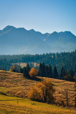 Güzel bir yaz ve dağlarda manzaralı bir sabah. Fotoğraf Polonya Tatra Dağları 'nda çekildi.