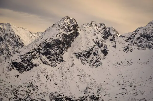 Paesaggio Montano Invernale Nei Monti Tatra Polacchi Mattinata Nevosa Con — Foto Stock