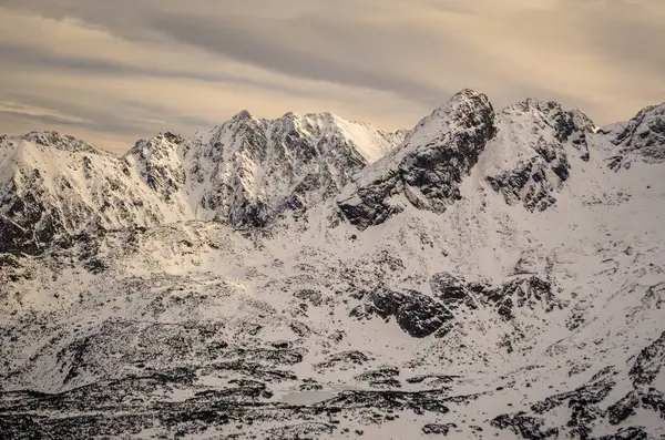 Paesaggio Montano Invernale Mattina Nevosa Nei Monti Tatra Polacchi — Foto Stock