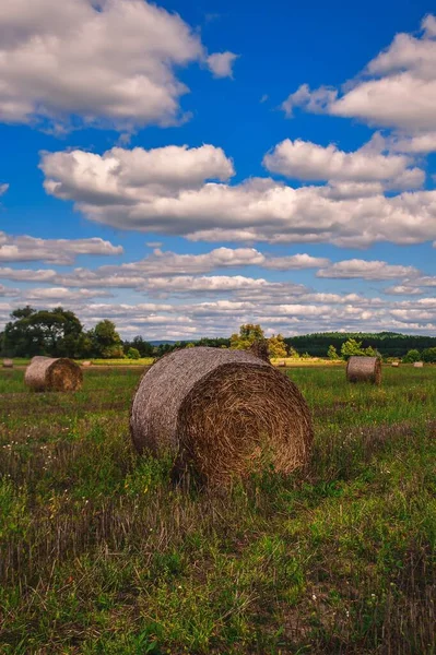 Piękny Letni Krajobraz Wiejski Siano Polu Błękitnym Niebem Tle — Zdjęcie stockowe