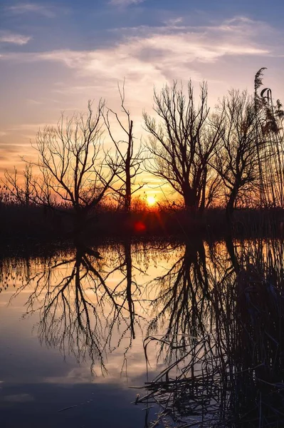 Schöne Sommerabendlandschaft Trockener Baum Und Gras Spiegeln Sich Fluss Foto — Stockfoto