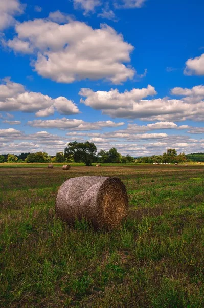 Όμορφο Καλοκαιρινό Αγροτικό Τοπίο Hay Ένα Πεδίο Ένα Μπλε Ουρανό — Φωτογραφία Αρχείου