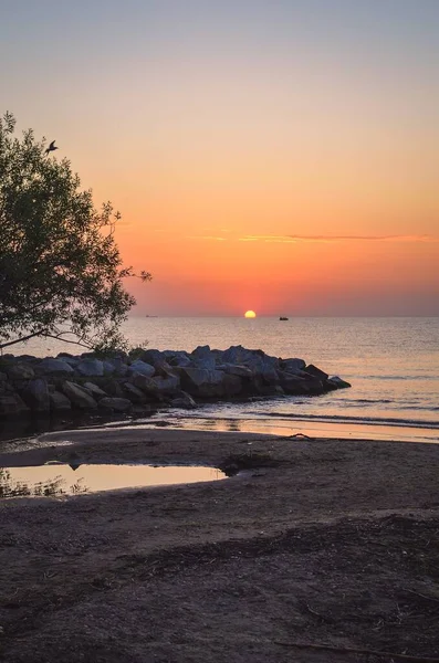 美丽的夏日清晨 海边的风景 在太阳升起的背景下 日出和一个女孩的轮廓 照片摄于波兰Gdynia — 图库照片