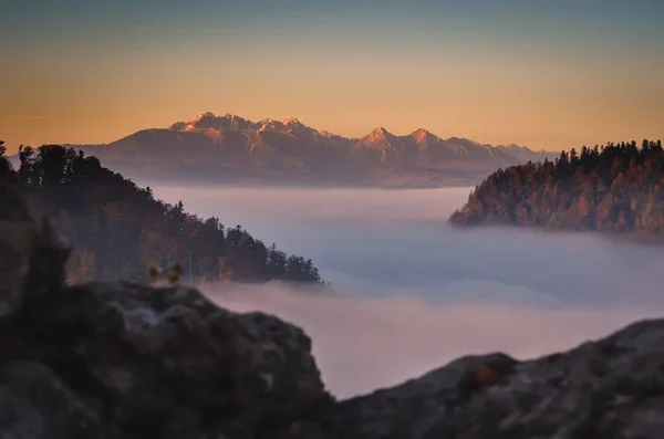 Fabelhaft Bunte Herbstlandschaft Zauberhafter Morgen Den Polnischen Bergen Foto Aufgenommen — Stockfoto