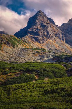Bir dağ yolunda güzel bir yaz tatili manzarası. Polonya 'daki Tatra Ulusal Parkı' nda Koscielec adlı güzel zirve.