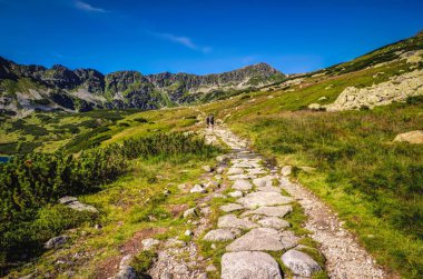 Yaz mevsiminde Polsih Beş Göl Vadisi 'ndeki dağ yolu. Polonya 'daki Tatra Ulusal Parkı' nda dağ yolu..