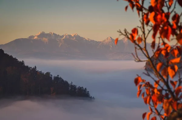 Сказочный Красочный Осенний Пейзаж Волшебное Утро Польских Горах Фото Сделано — стоковое фото