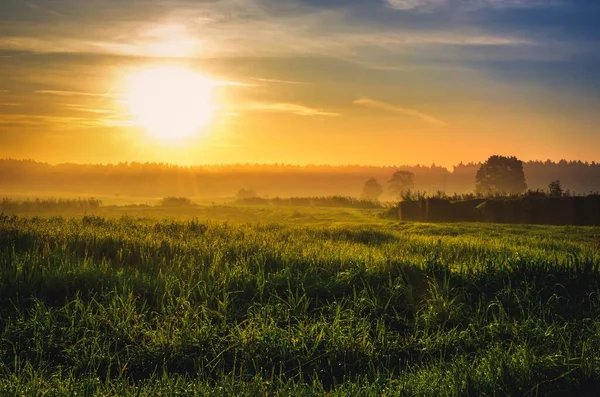 Nyári Reggel Vidékre Néző Kilátással Napkelte Zöld Fűvel Szénaboglyákkal Vidéken — Stock Fotó