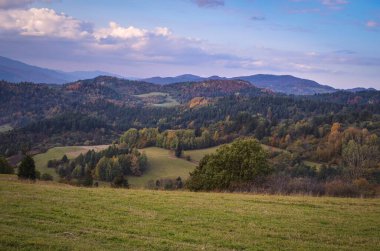 Vadide güzel bir sonbahar manzarası var. Fotoğraf Wysoki Wierch, Slovakya 'ya giderken çekildi..