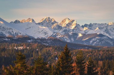 Sabah Polonya Tatra Dağları 'nın büyüleyici manzarası. Polonya 'nın Lapszanka köyünden Yüksek Tatra manzarası.