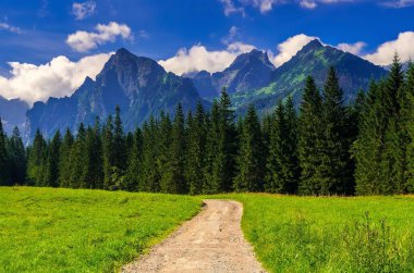 Dağların arasındaki vadide güzel çakıl yolu. Slovak Tatra Dağları 'ndaki Beyaz Su Vadisi' nde yaz yürüyüşü.